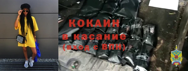 СК Алексин