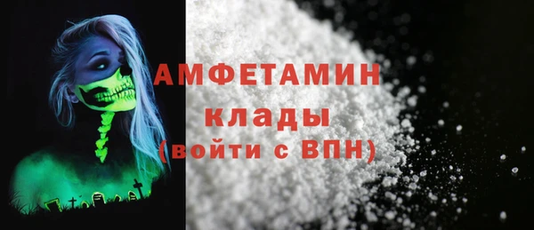 СК Алексин