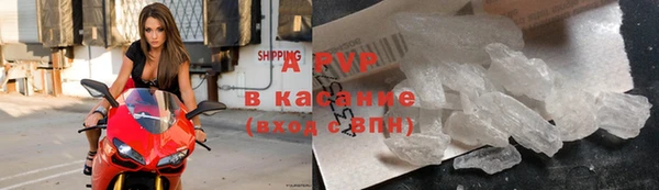 прущие крисы Алзамай