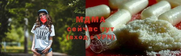 СК Алексин