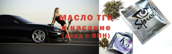 СК Алексин