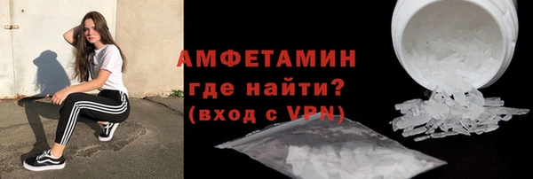 гидра Ельня