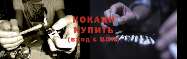 метадон Инта