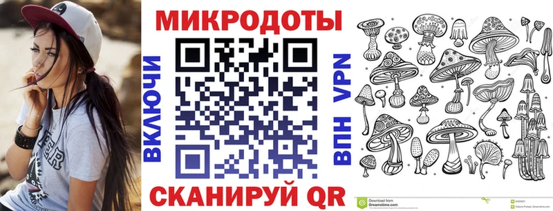 Псилоцибиновые грибы Psilocybe  MEGA ссылки  Харовск 